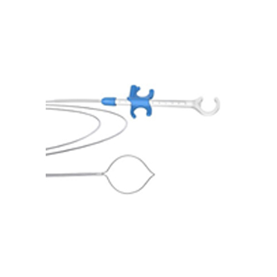 Endoscopic Accessories